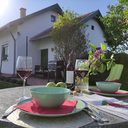 Szolohegyi Haziko - Cottage In The Vineyard Balatonszárszó Buitenkant foto