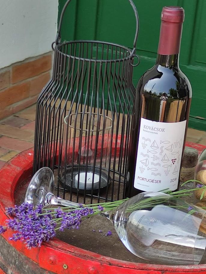Szolohegyi Haziko - Cottage In The Vineyard Balatonszárszó Buitenkant foto