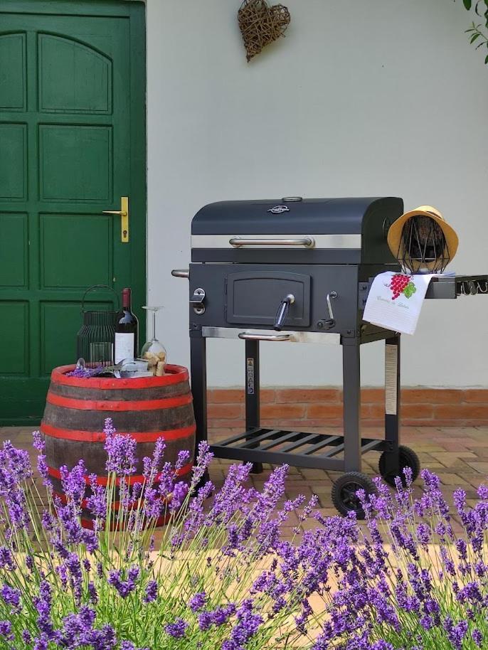 Szolohegyi Haziko - Cottage In The Vineyard Balatonszárszó Buitenkant foto