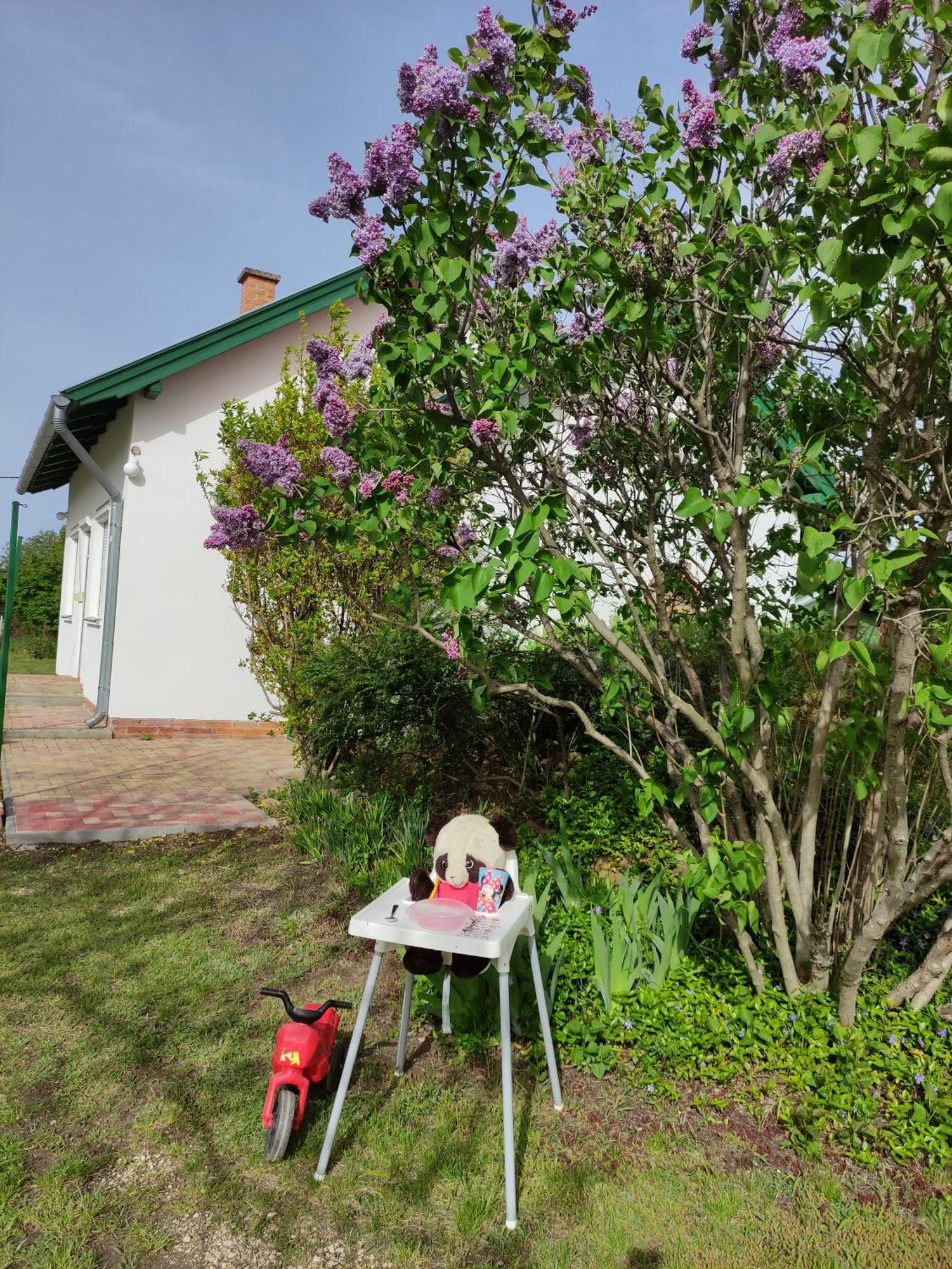 Szolohegyi Haziko - Cottage In The Vineyard Balatonszárszó Buitenkant foto
