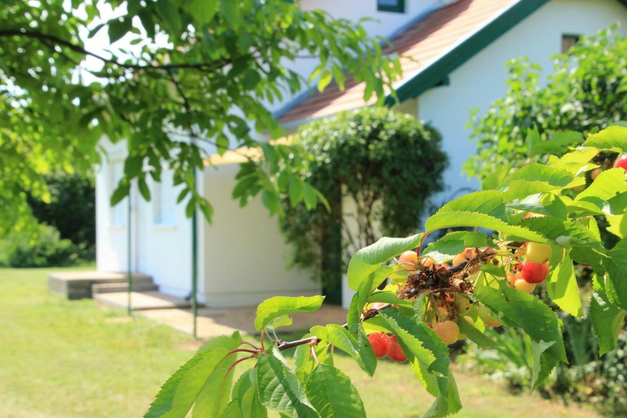 Szolohegyi Haziko - Cottage In The Vineyard Balatonszárszó Buitenkant foto